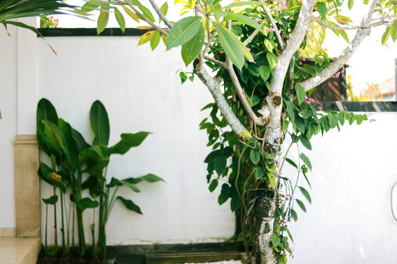 Adi Guest House تْشانغو المظهر الخارجي الصورة
