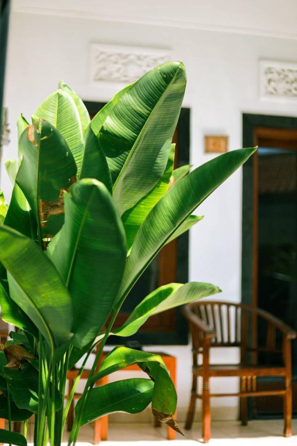 Adi Guest House تْشانغو المظهر الخارجي الصورة