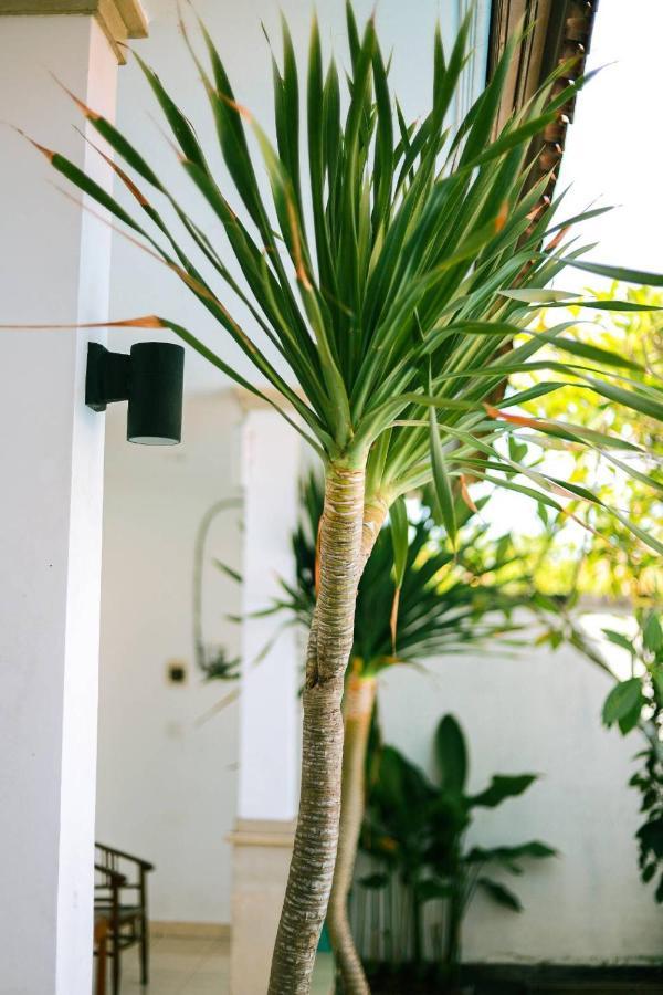 Adi Guest House تْشانغو المظهر الخارجي الصورة