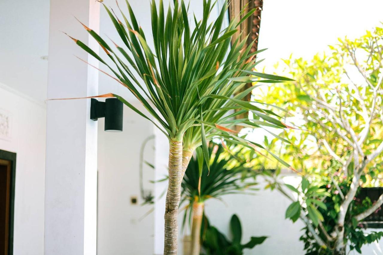 Adi Guest House تْشانغو المظهر الخارجي الصورة
