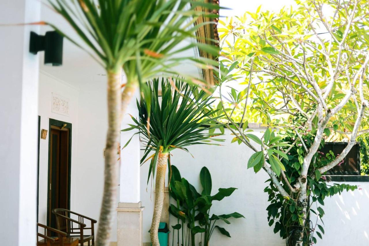 Adi Guest House تْشانغو المظهر الخارجي الصورة